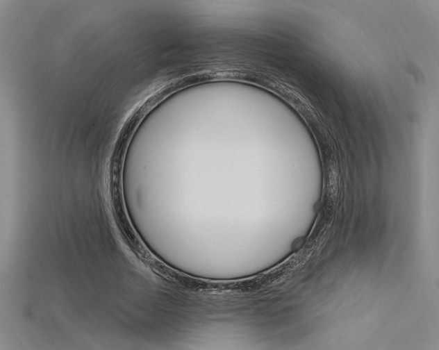 X0000115810730200911131042
