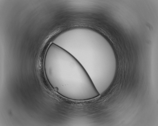 X0000115810731200911131042