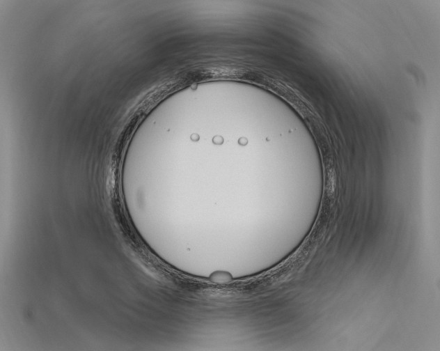 X0000115810733200911131042