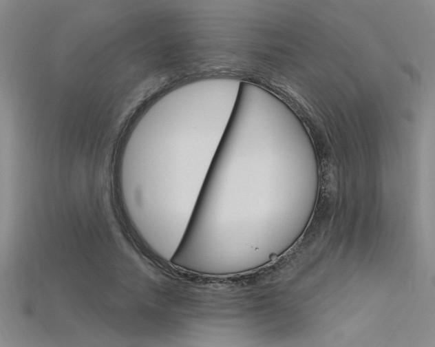 X0000115810738200911131042