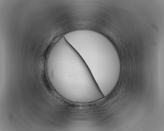 X0000115810739200911131042