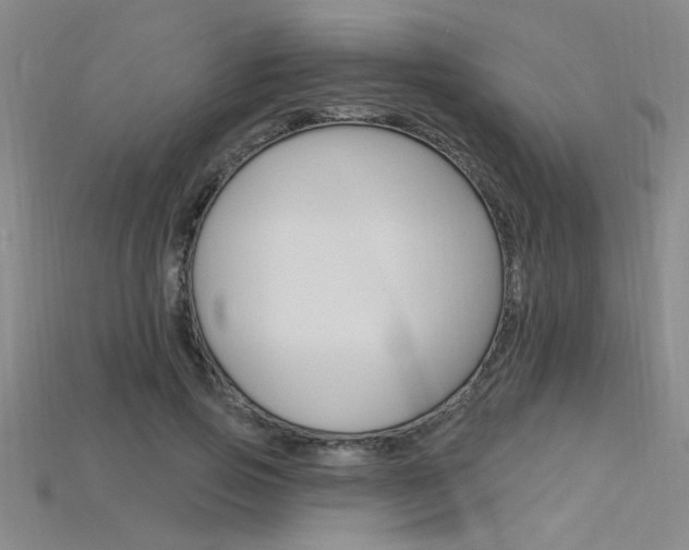 X0000115810741200911131042