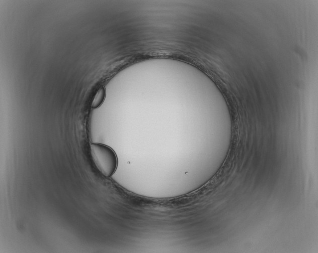X0000115810743200911131042