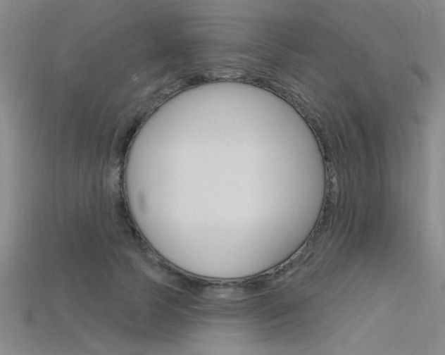 X0000115810745200911131042