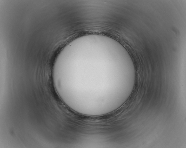 X0000115810747200911131042