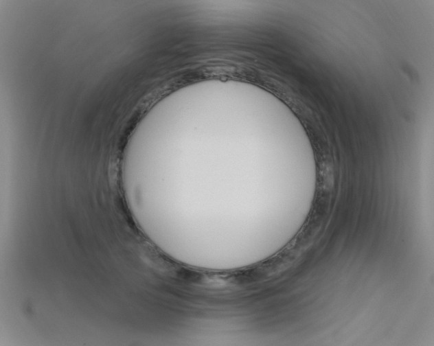 X0000115810753200911131042