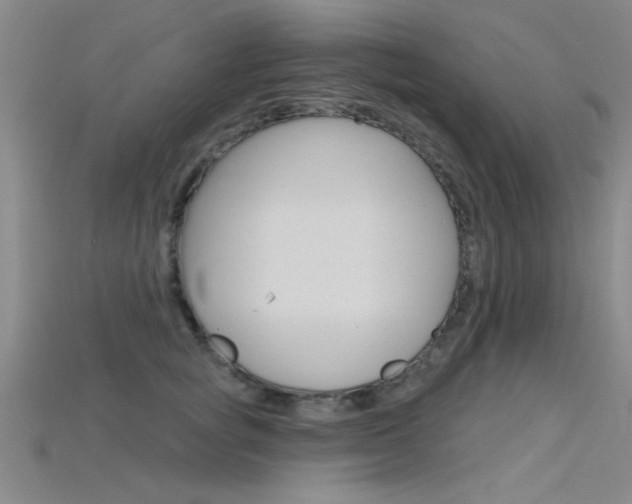 X0000115810757200911131042