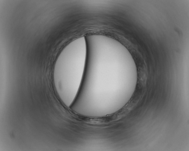 X0000115810758200911131042