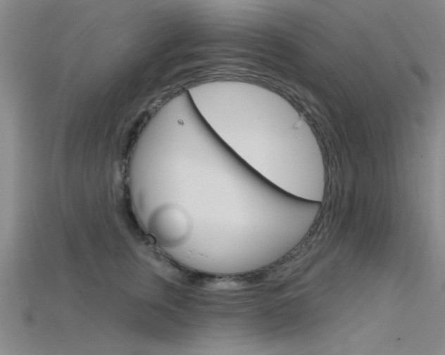 X0000115810759200911131042