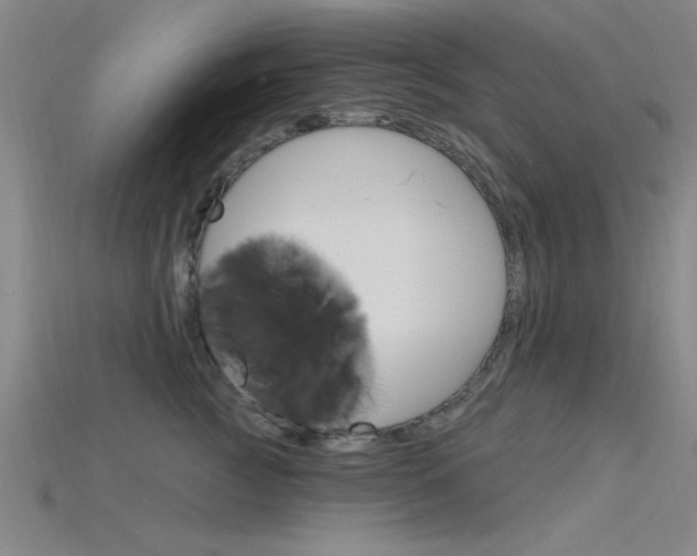 X0000115810761200911131042