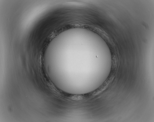 X0000115810762200911131042
