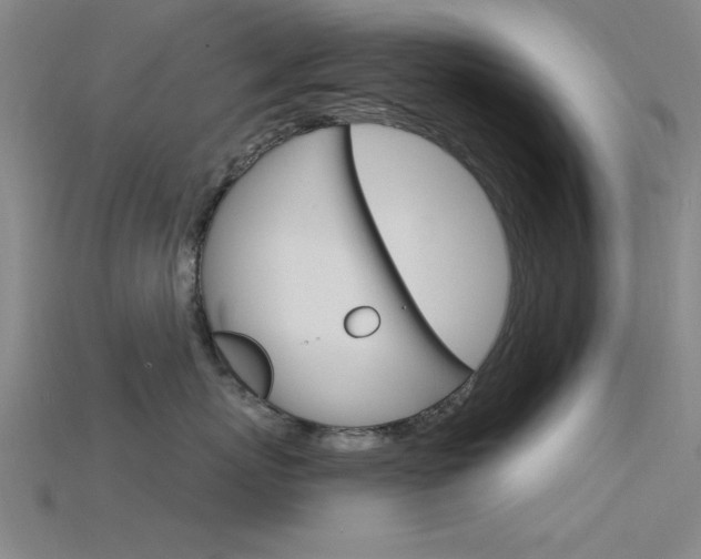 X0000115810767200911131042