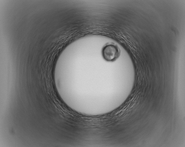 X0000115810769200911131042