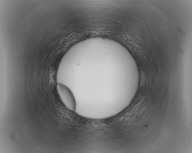 X0000115810770200911131042