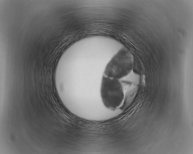 X0000115810771200911131042