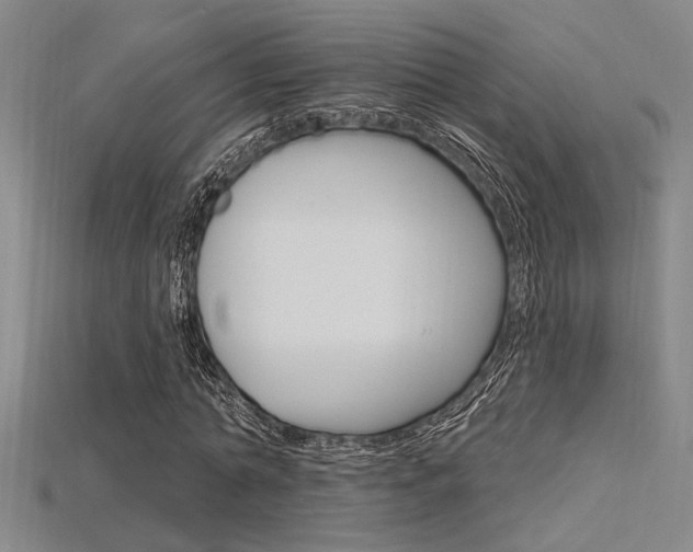 X0000115810774200911131042