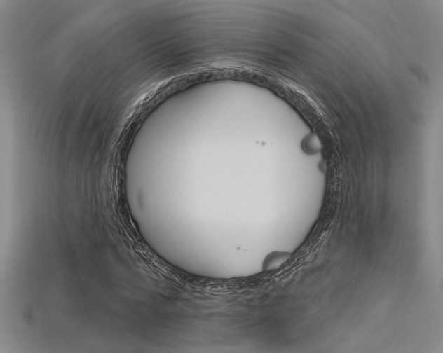 X0000115810776200911131042