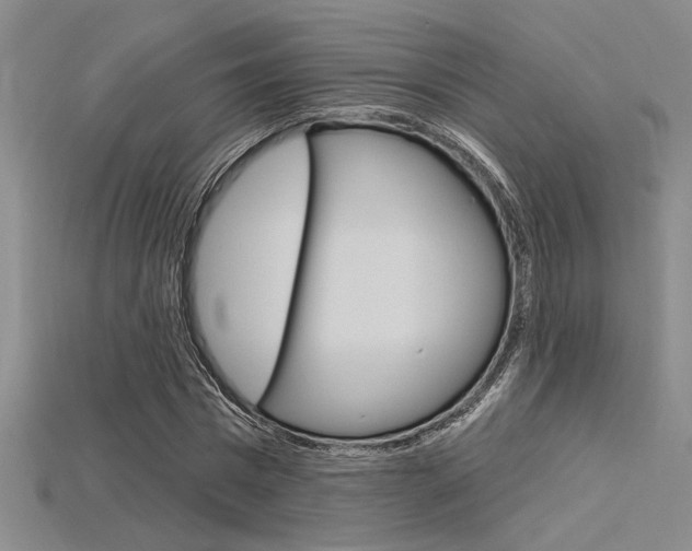 X0000115810777200911131041