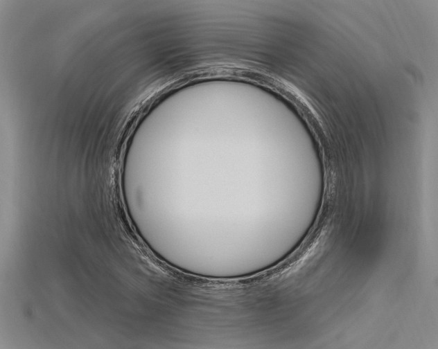 X0000115810778200911131041