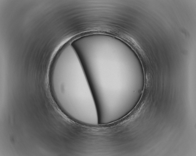 X0000115810780200911131041