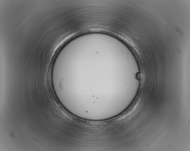 X0000115810782200911131041