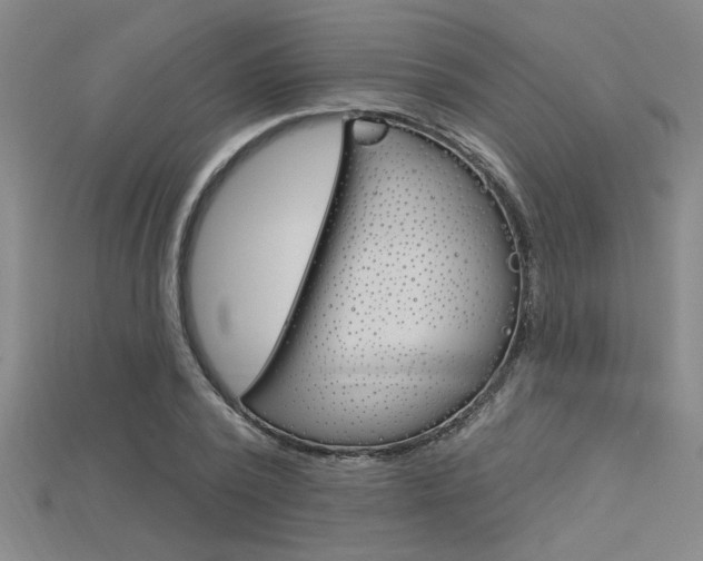 X0000115810784200911131041