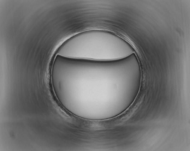 X0000115810787200911131041