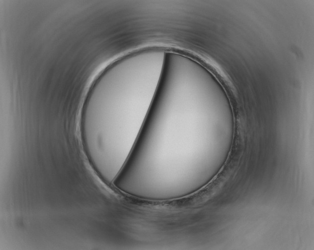 X0000115810791200911131041