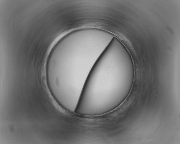 X0000115810792200911131041