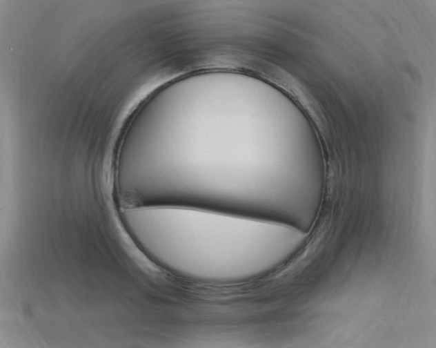 X0000115810795200911131041
