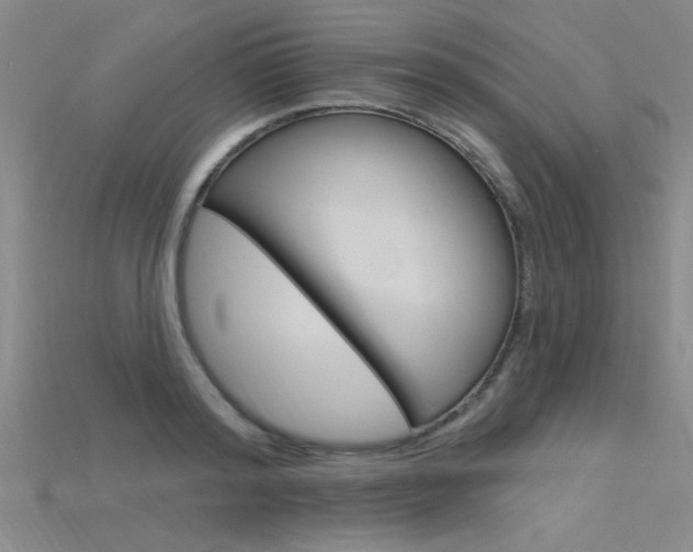 X0000115810796200911131041