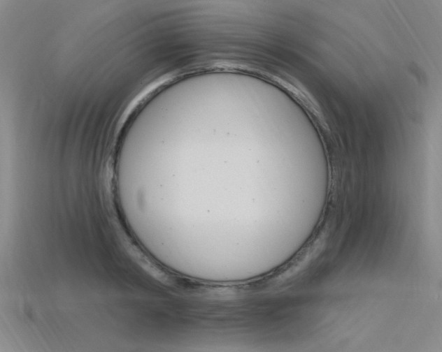 X0000115810798200911131041