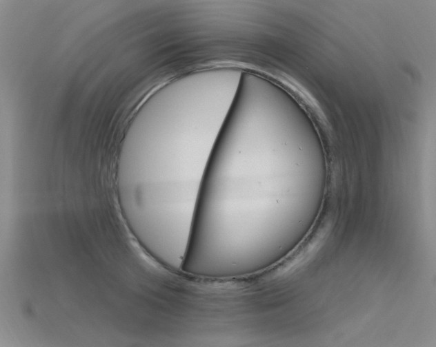 X0000115810801200911131041