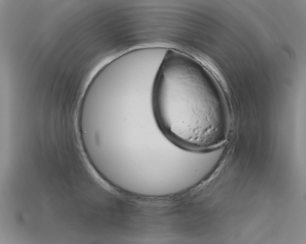 X0000115810805200911131041