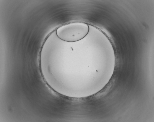 X0000115810807200911131041