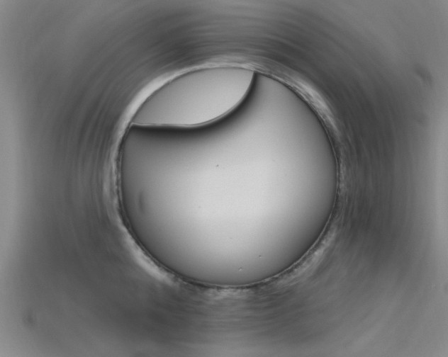 X0000115810808200911131041