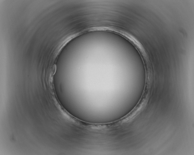 X0000115810809200911131041