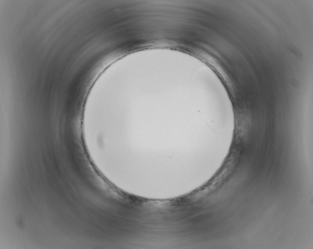 X0000115810810200911131041