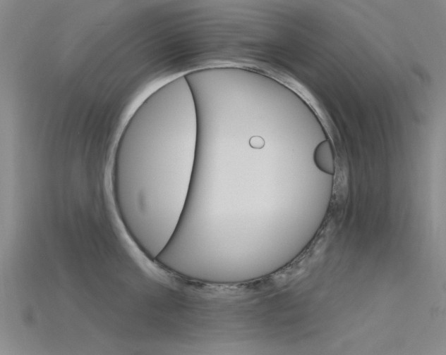 X0000115810811200911131041