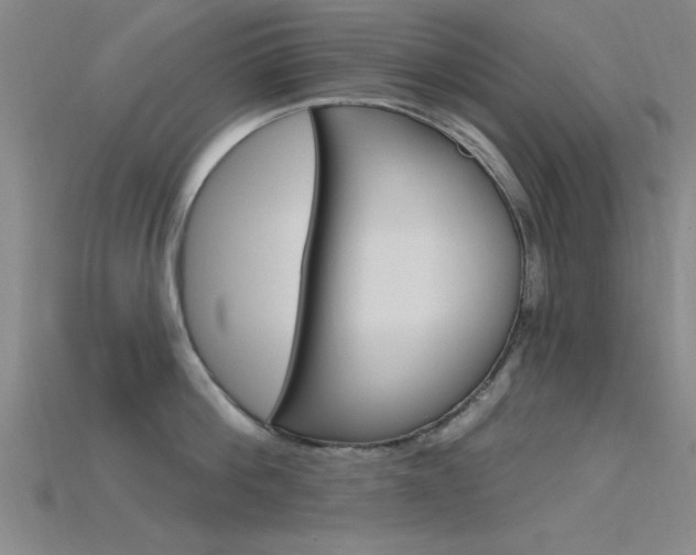X0000115810812200911131041