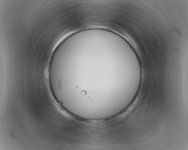 X0000115810814200911131041