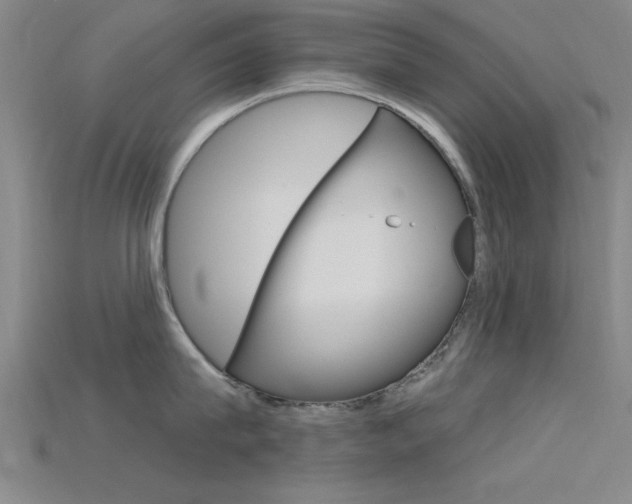 X0000115810815200911131041