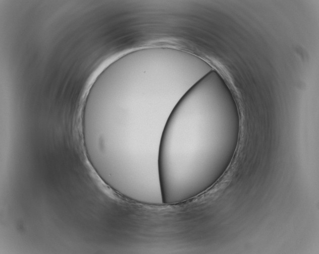 X0000115810816200911131041