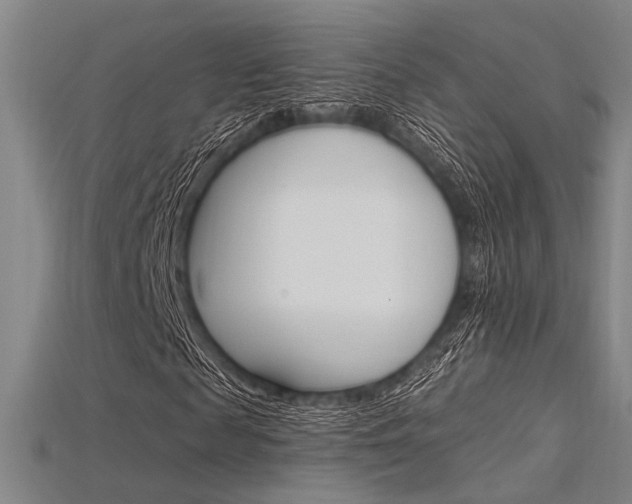 X0000115810817200911131040