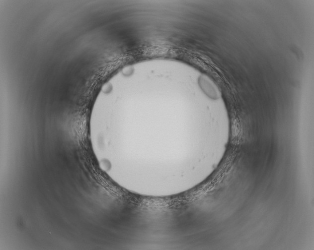 X0000115810820200911131040