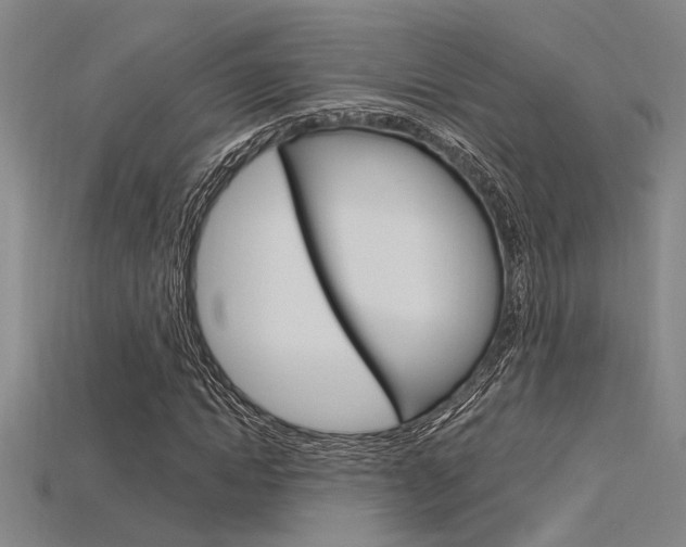 X0000115810822200911131040