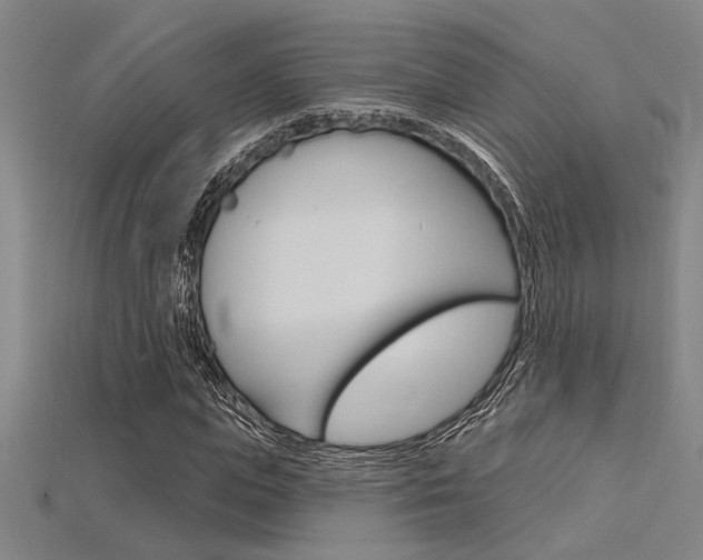 X0000115810823200911131040