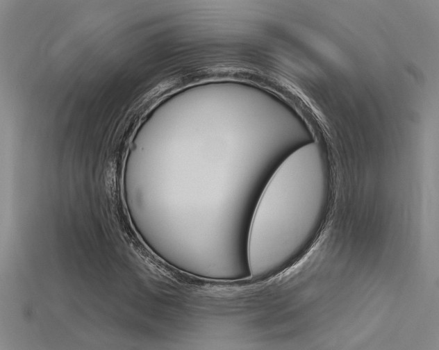 X0000115810825200911131040