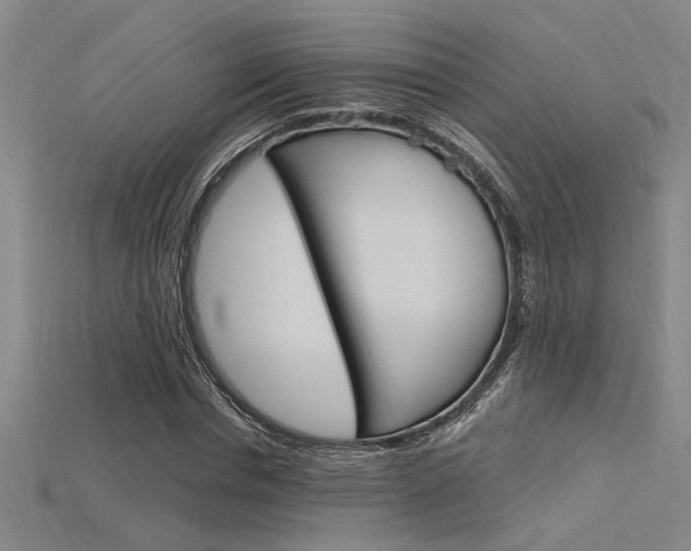 X0000115810826200911131040