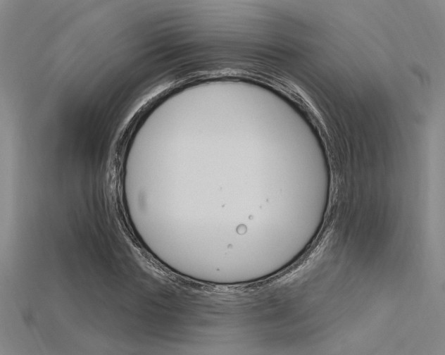 X0000115810827200911131040